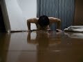 250 Push ups＋10 Ab Wheel　腕立て伏せ250回＋腹筋ローラー10回