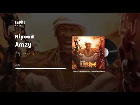 Amzy - Niyood