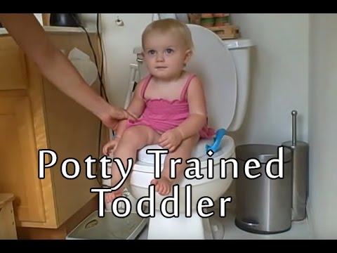 Potty Trained Toddler (3 Years Old) - Babys World