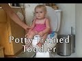 Potty Trained Toddler (3 Years Old) - Babys World