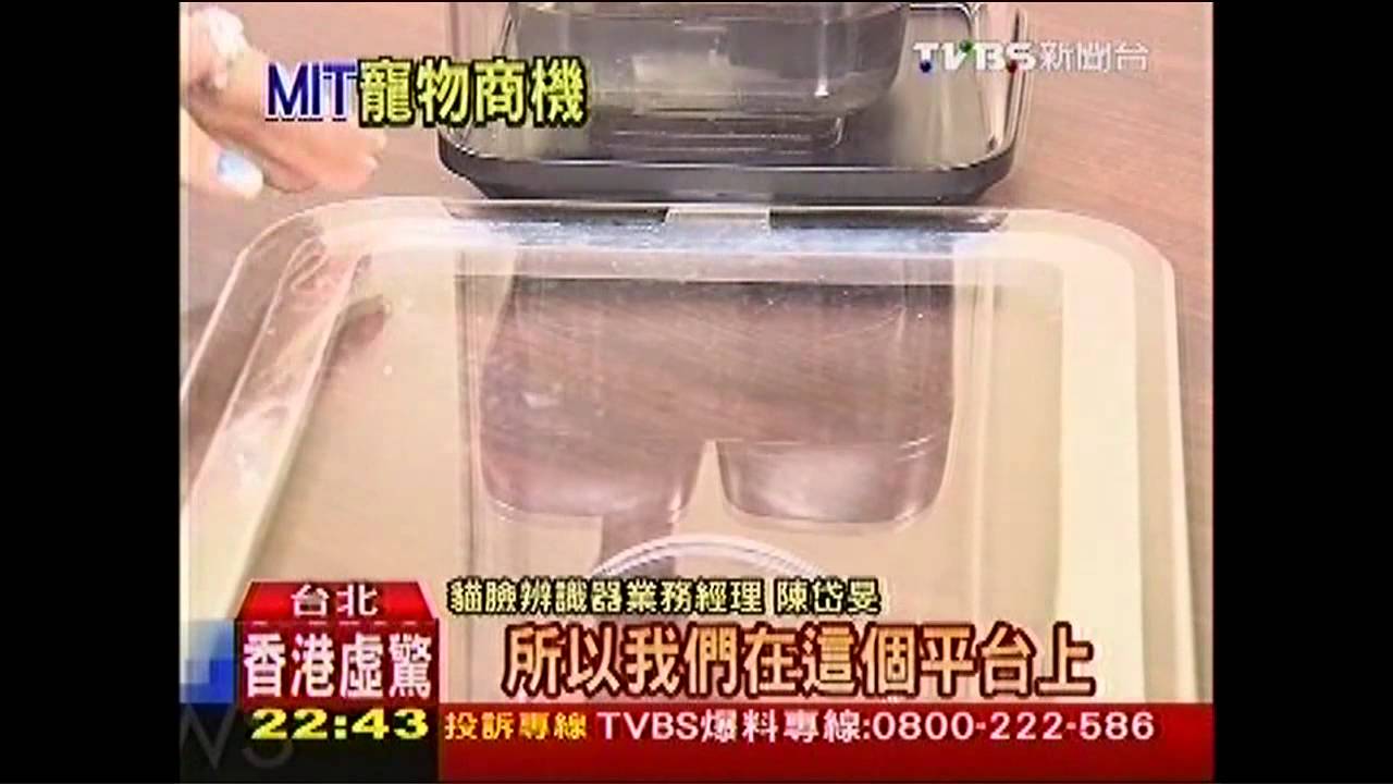 台灣寵物商機500億 青年創業打「貓咪」牌