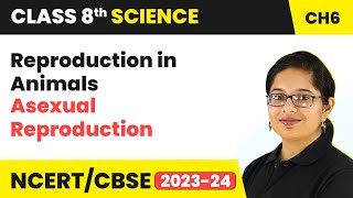 Asexual Reproduction - Reproduction in Animals | Class 8 - Science - Chapter 6