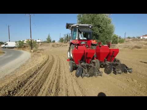 download lagu mp3 mp4 Where Can I Buy Cyprus Potatoes Near Me, download lagu Where Can I Buy Cyprus Potatoes Near Me gratis, unduh video klip Where Can I Buy Cyprus Potatoes Near Me