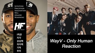 WayV - ONLY HUMAN REACTION (KPOP) Higher Faculty
