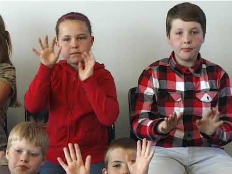 Lubbi finnur málbein - b