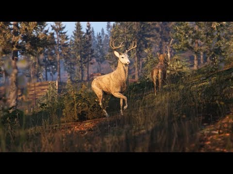 Big Log - Robert Plant - GTA V (Clean ver.)