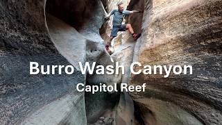 Burro Wash