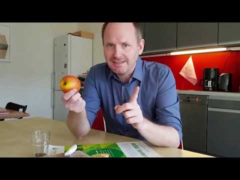 FRÖBEL forstet auf! Einen Apfelbaum selbst aussäen (Teil 1)