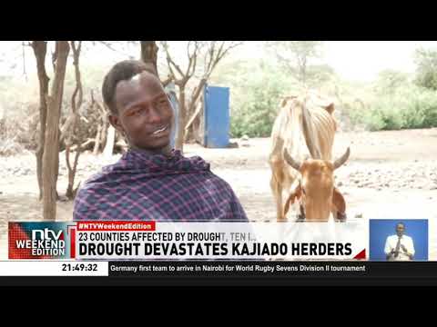 Worsening drought crisis tears communities apart, leaves death and destruction