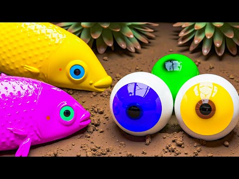Mud Village Survival Battle - Koi Fish Hunt Scarabs And Eels, Catfish, Egg 💕 Stop Motion ASMR CoCo
