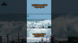 Download lagu Moments when the ocean is raging #shorts #tsunami mp3