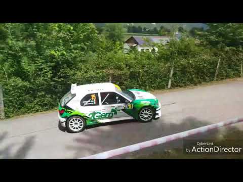 Rally valli della Carnia 2018 "Verzegnis"+ rottura peugeot 207 s2000