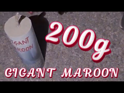 Gigant Maroon