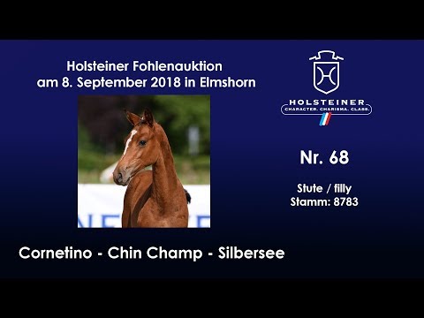 Holsteiner Fohlenauktion | Nr. 68 v. Cornetino - Chin Champ