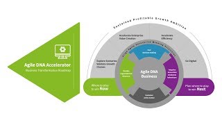 Animation - Agile DNA Accelerator Accelerator