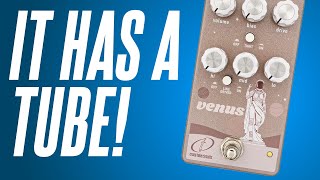 Video thumbnail for A Real Tube Driver!! Crazy Tube Circuits Venus! by Sasha Ivantic