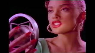 Vanessa Williams - (He&#39;s Got) The Look (Official Music Video)
