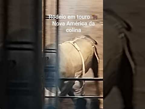 Rodeio em touros em Nova América da colina