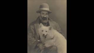 slowie wowie / Thundercat - Captain Stupido