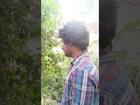 BHANU PRAKASH KATAM Introductio...