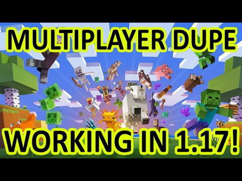 Minecraft 1.17 Duplication Glitch That Works In Multiplayer Servers - 1.17 Java Dupe Glitch