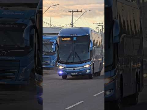 AGUIA BRANCA EM JEQUIÉ BA