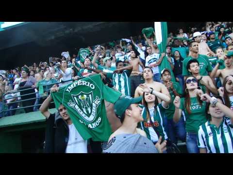 Vai sacudir , vai ABALAR..qdo meu Verdão passar...COXA DOIDO!