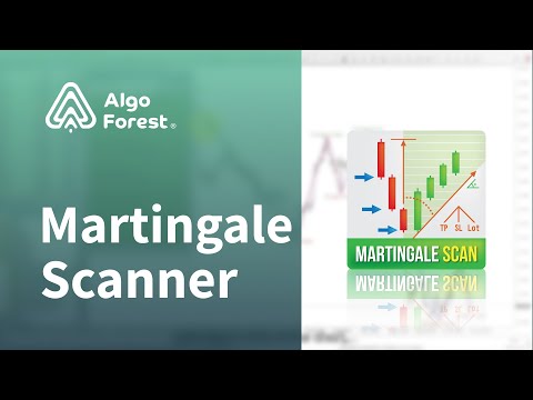 Video Martingale Scanner