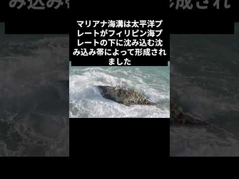プラスチック廃棄物の居場所:深海溝の新たな生物多様性