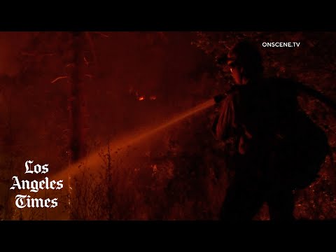 Oak fire, California’s largest so far this season, explodes in size