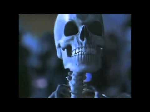 Spooky Scary Skeletons--Unofficial Music Video