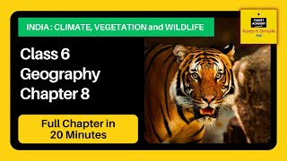 Class 6 Geography Chapter 8 | India : Climate, Vegetation and Wildlife - Full Explanation in Hindi