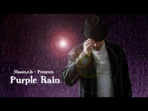 Ali Campbell's Purple Rain - Reggae Version by Shaun.e.b