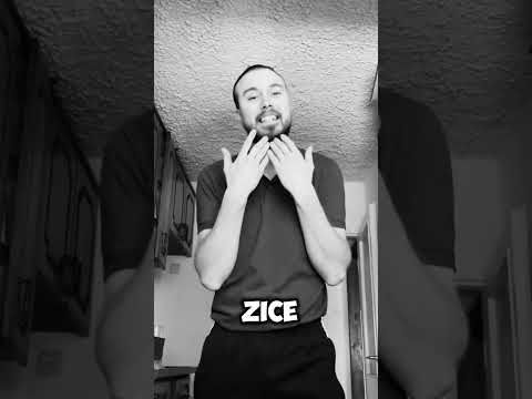 BES X VUDIK - Sub Pielea Mea