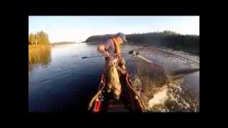 preview picture of video 'Lohestusta Tornionjoella Lappean Lomassa 11.8.2014 - Salmon fishing Lappean Loma 11.8.2014'