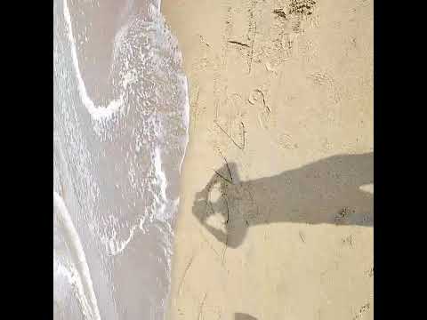 Marina beach (Chennai Central)(5)