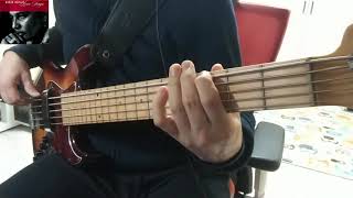 Aaron Neville   Ain&#39;t No Sunshine(bass cover)