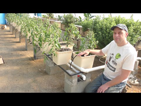 Building a Dutch Bucket System