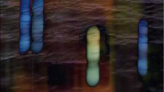 Teengirl Fantasy - Portofino