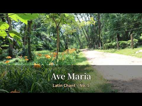 Ave Maria (Latin Chant No. 5) | Catholic Prayer Music for Pr…