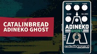 Video thumbnail for Catalinbread Adineko Ghost // Oil Can Delay by Demos In The Dark