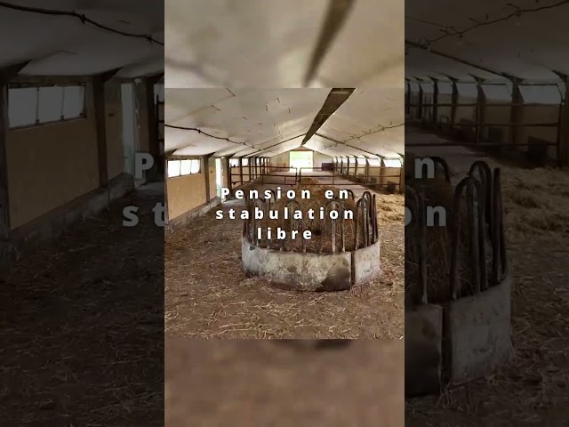 Pension chevaux à Challans (85) – stabulation libre 