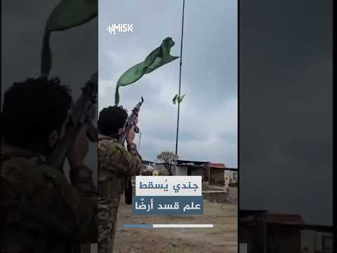 يُظهر مقطع متداول جنديًا من الجيش العربي السوري وهو يضرب علم 