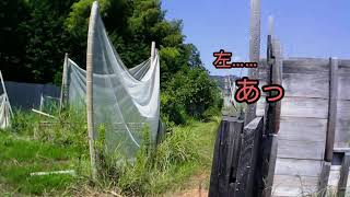 車椅子でサバゲーをするぽんとん♯1