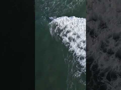 NAZARE SURF ,#nazare #nazarebigwaves #portugal #dronepilot #surf #surfing #surfers