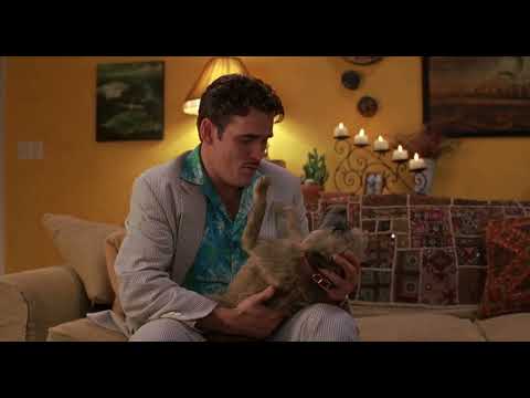 There's Something About Mary (1998) - Pat and Puffy Scene (HD)