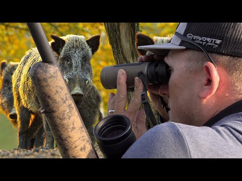 Wild Boar Hunting {Catch Clean Cook} A Massive Ranch Project