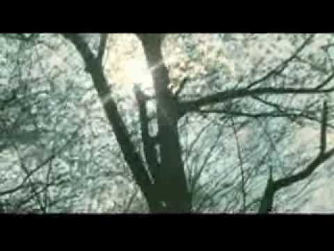 Take Me To Your Heart - MLTR & Hyesung- Korean version