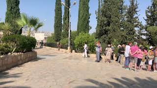 Download lagu Migdal Eder-Bethlehem mp3