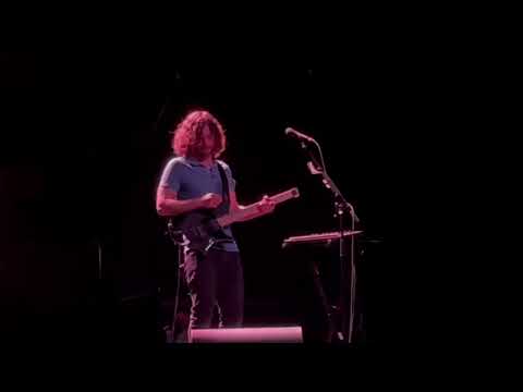 RANDY McSTINE Opens Solo Set With Incredible Layered Performance at  Plaza in Orlando, FL 11/17/2024